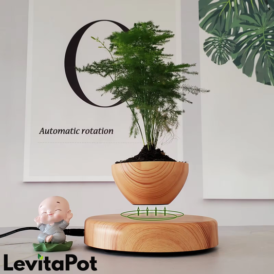 The Levitating pot